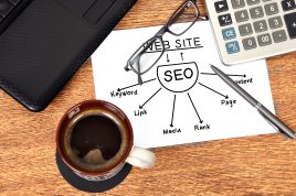 seo for business- necessity or luxury