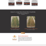 Endarra 81 Website