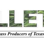 OlivSEO Featured as E-Commerce Expert in The Pallet Magazine